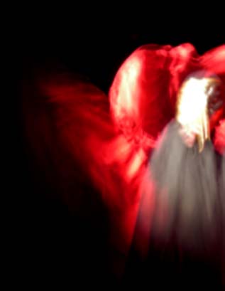 ddaa - stpo - concert au jardin moderne