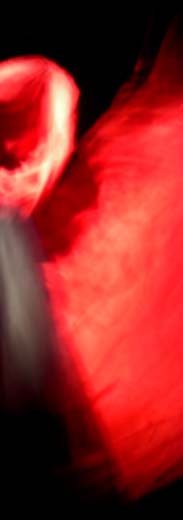 ddaa - stpo - concert au jardin moderne