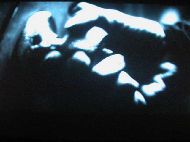 Photos : L.L. de Mars