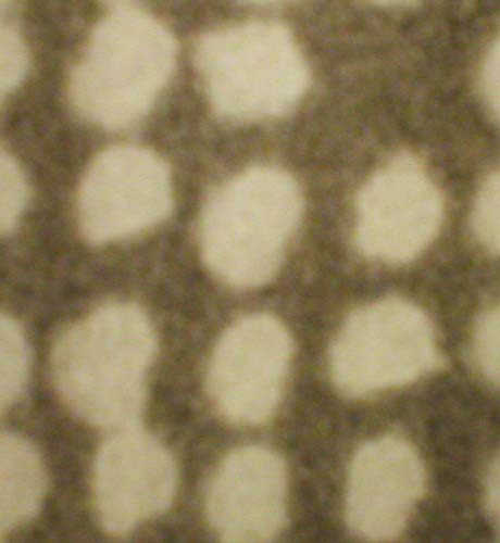 Exposition Moreul Bellec