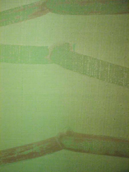 Exposition Moreul Bellec