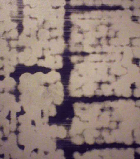 Exposition Moreul Bellec