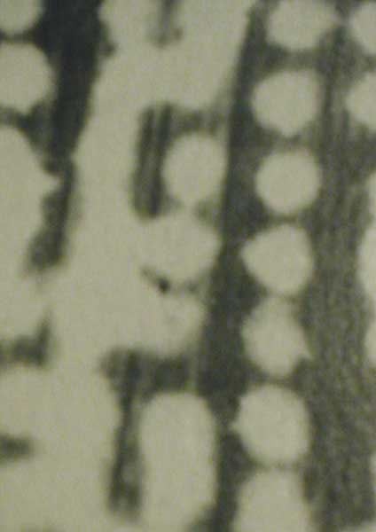 Exposition Moreul Bellec