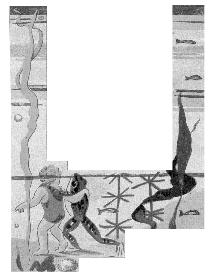 lotte et les poissons