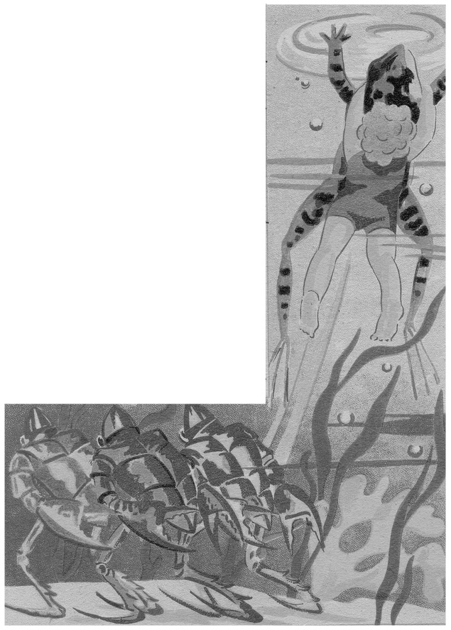 lotte et les poissons