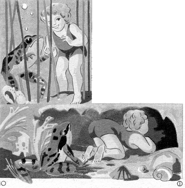 lotte et les poissons