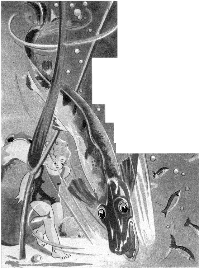 lotte et les poissons