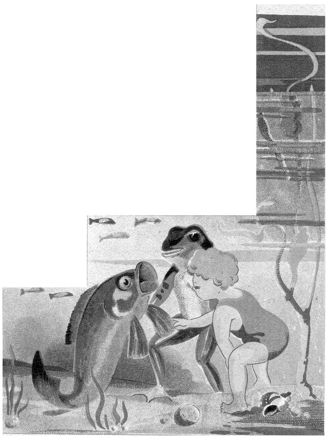 lotte et les poissons