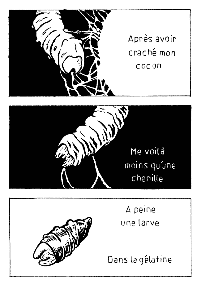 Submorphose